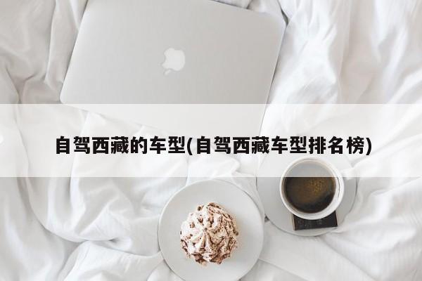 自驾西藏的车型(自驾西藏车型排名榜)