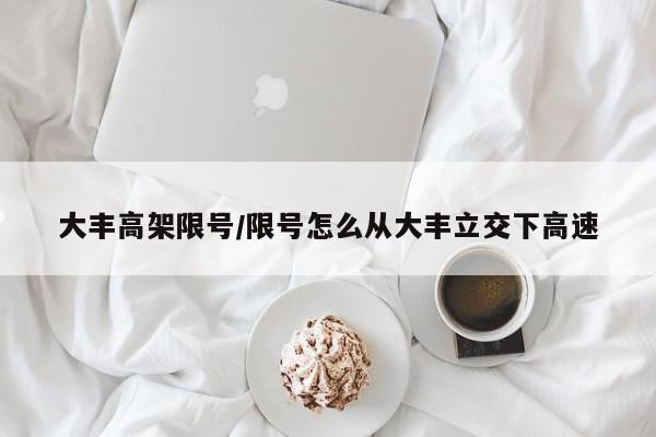 大丰高架限号/限号怎么从大丰立交下高速