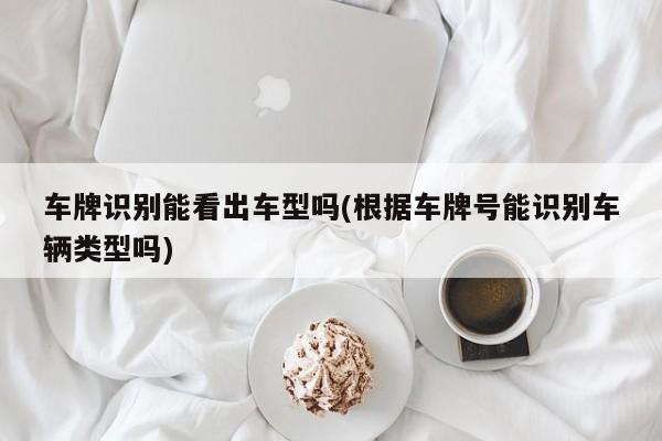 车牌识别能看出车型吗(根据车牌号能识别车辆类型吗)