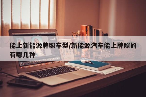 能上新能源牌照车型/新能源汽车能上牌照的有哪几种