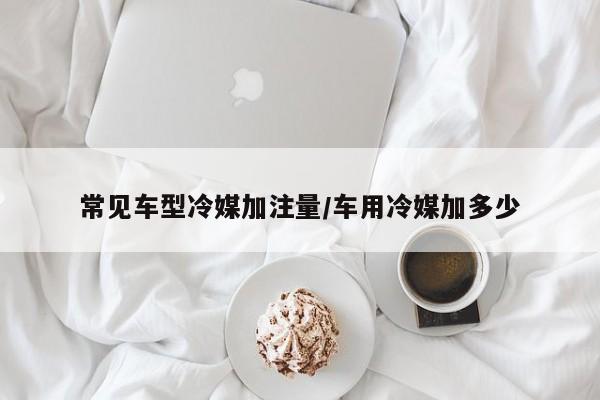 常见车型冷媒加注量/车用冷媒加多少