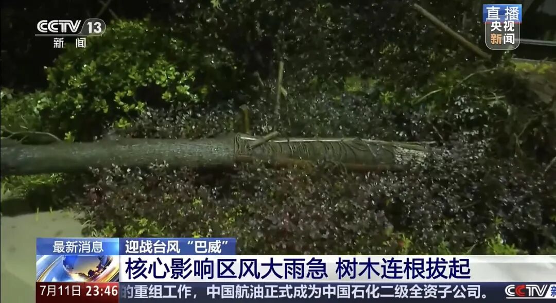 “巴威”最新路径公布！0时在浙江乐清二次登陆，5时减弱为强热带风暴，中心最大风力11级